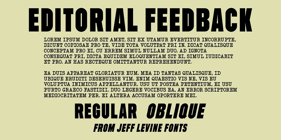 Editorial Feedback JNL by Jeff Levine Fonts — Display Font