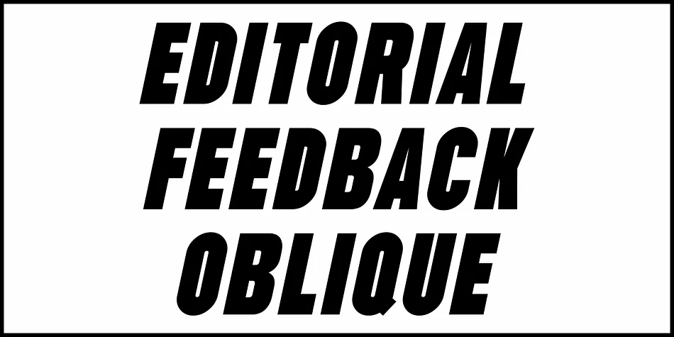 Editorial Feedback JNL by Jeff Levine Fonts — Display Font — thumbnail 4