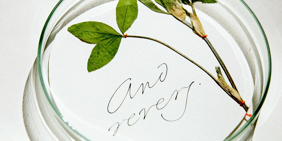 Emily In White by Juliasys — Dingbats Font
