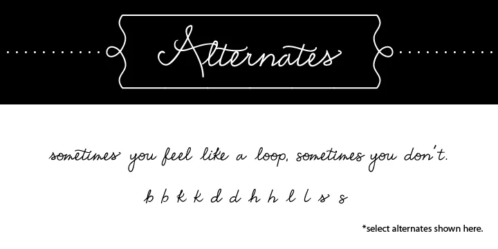 Emily Lime by Emily Lime Design — Dingbats Font — thumbnail 5
