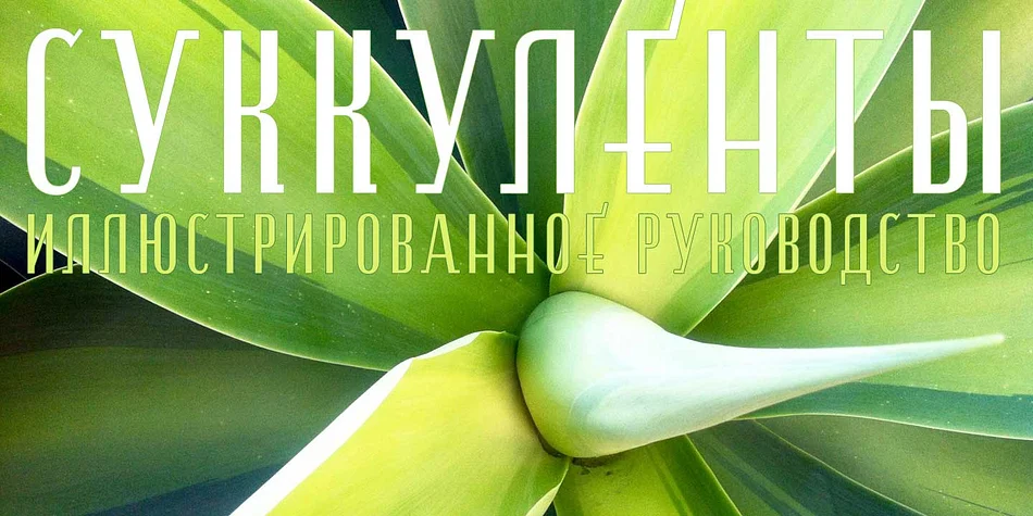ESENCIA by CastleType — Decorative Font — thumbnail 3