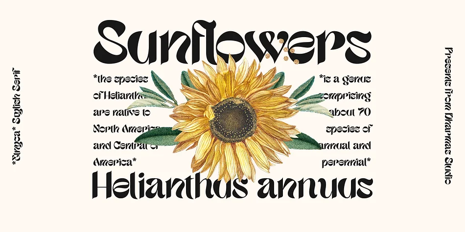 Etnyca by Dharmas Studio — Display Font — thumbnail 3