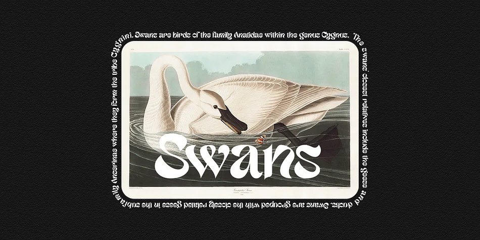 Etnyca by Dharmas Studio — Display Font — thumbnail 6