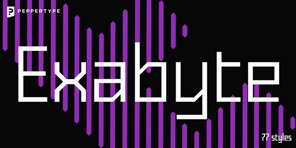 Exabyte by Pepper Type — Display Font