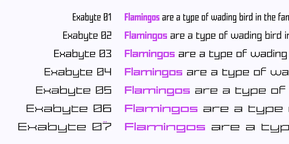 Exabyte by Pepper Type — Display Font — thumbnail 2