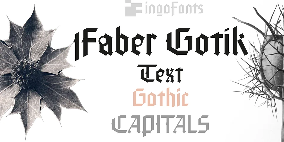 Faber Gotic by ingoFonts — Blackletter Font