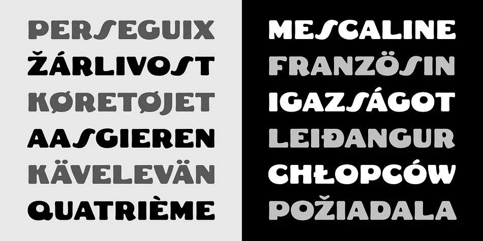 FAT FREDDIE CT by CastleType — Display Font — thumbnail 9