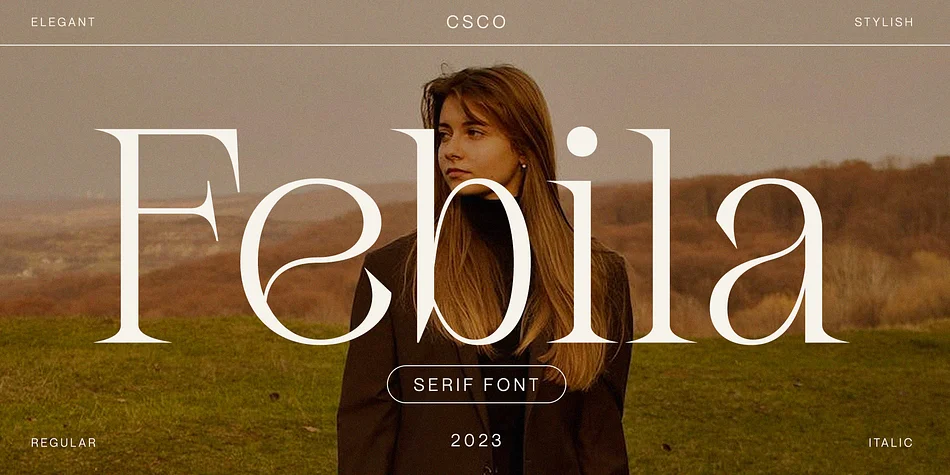 Febila by Craft Supply Co. — Decorative Font