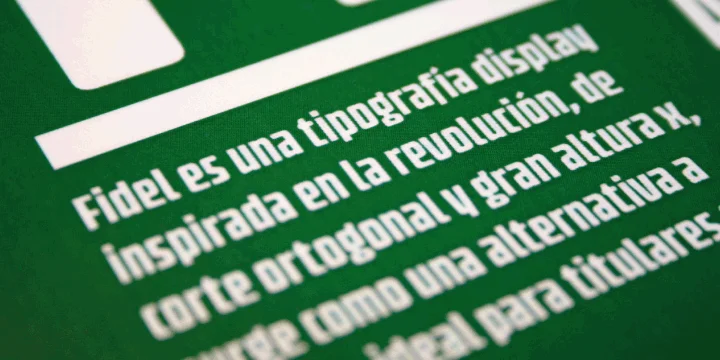 Fidel by Latinotype — Display Font — thumbnail 7