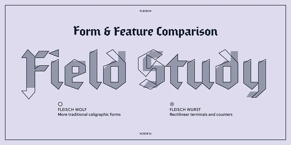 Fleisch by Delve Fonts — Blackletter Font — thumbnail 2