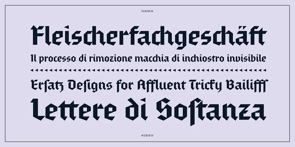 Fleisch by Delve Fonts — Blackletter Font — thumbnail 4