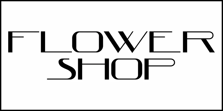 FLOWER SHOP JNL by Jeff Levine Fonts — Decorative Font — thumbnail 2