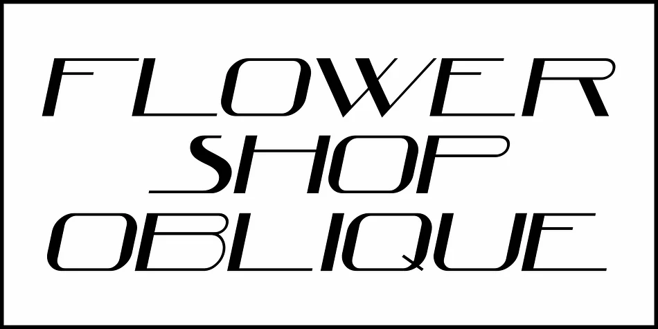 FLOWER SHOP JNL by Jeff Levine Fonts — Decorative Font — thumbnail 4