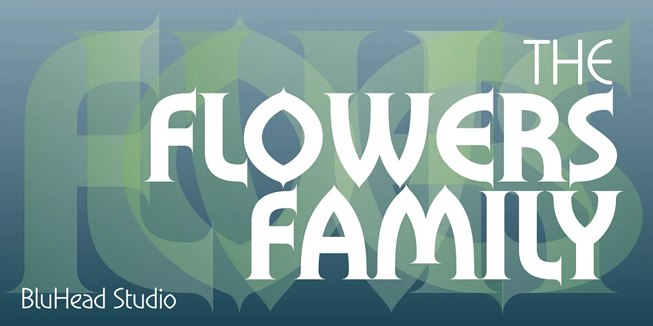 Flowers by BluHead Studio — Display Font