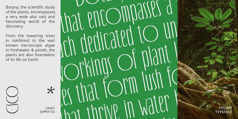 Folime by Craft Supply Co. — Decorative Font — thumbnail 2