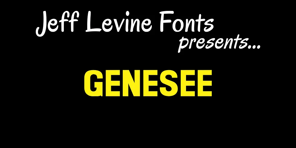 GENESEE JNL by Jeff Levine Fonts — Display Font