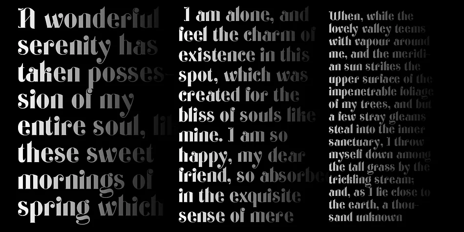 Geoffrey Serif by TypeClassHeroes — Display Font — thumbnail 6