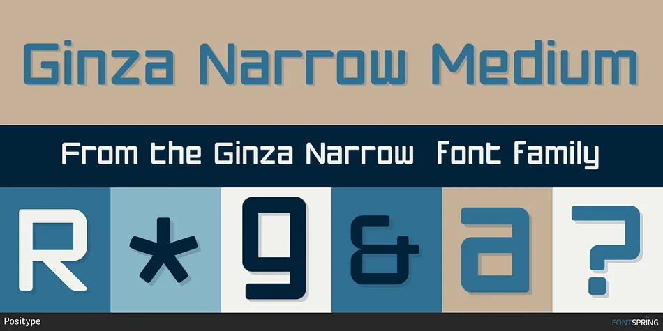 Ginza Narrow by Positype — Display Font — thumbnail 3