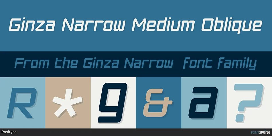 Ginza Narrow by Positype — Display Font — thumbnail 4