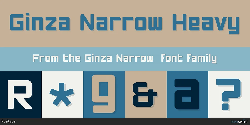 Ginza Narrow by Positype — Display Font — thumbnail 5
