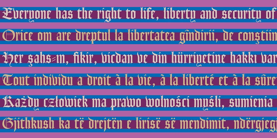 Goudy Text CT by CastleType — Blackletter Font — thumbnail 8