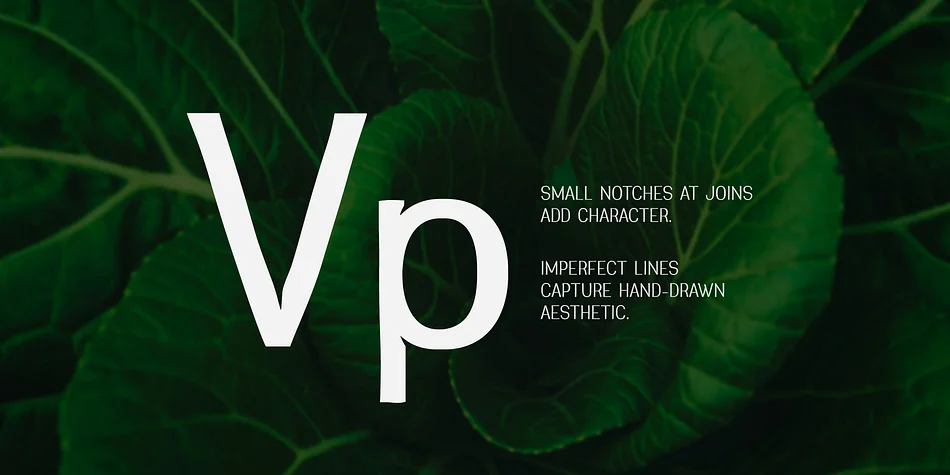 Greenstyle by Parker Creative — Display Font — thumbnail 2