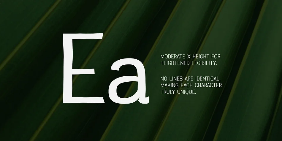 Greenstyle by Parker Creative — Display Font — thumbnail 3