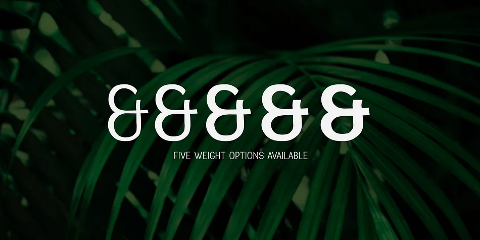 Greenstyle by Parker Creative — Display Font — thumbnail 5