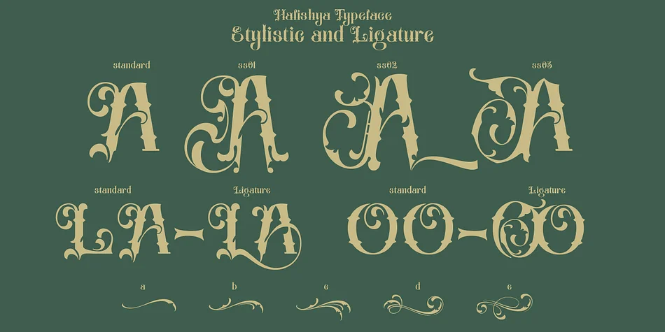 Hafishya by TypeClassHeroes — Decorative Font — thumbnail 4