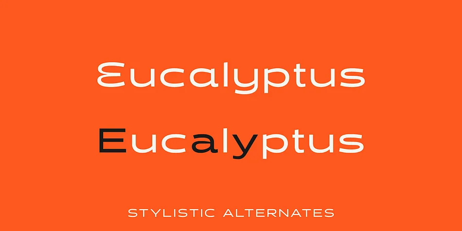 Halogen by Positype — Display Font — thumbnail 3