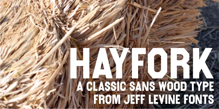 HAYFORK JNL by Jeff Levine Fonts — Display Font
