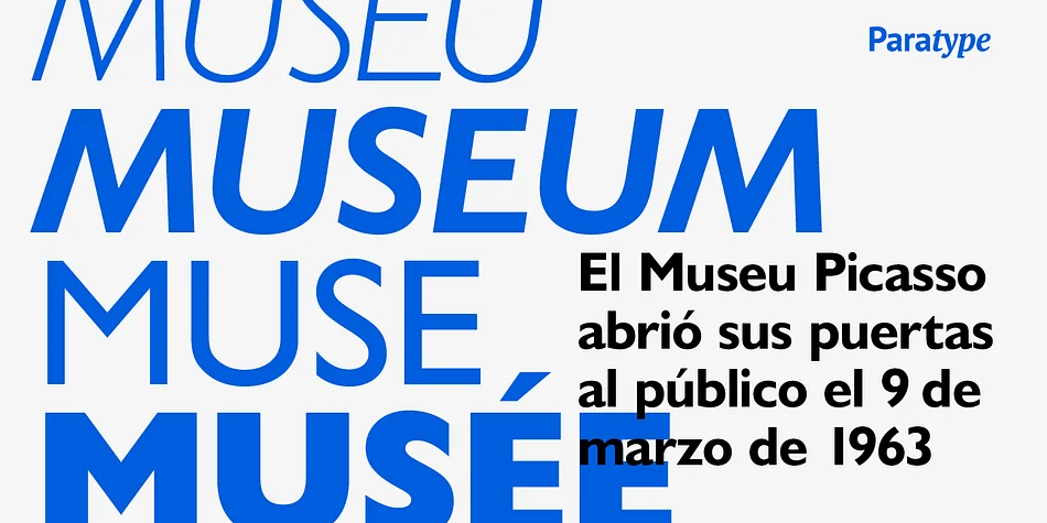 Humanist 521 by ParaType — Display Font — thumbnail 4