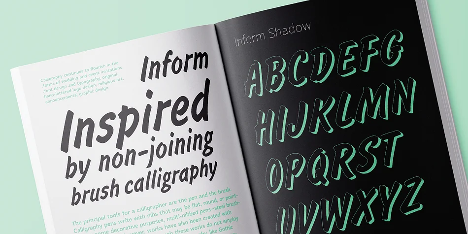 Inform by ParaType — Decorative Font — thumbnail 2