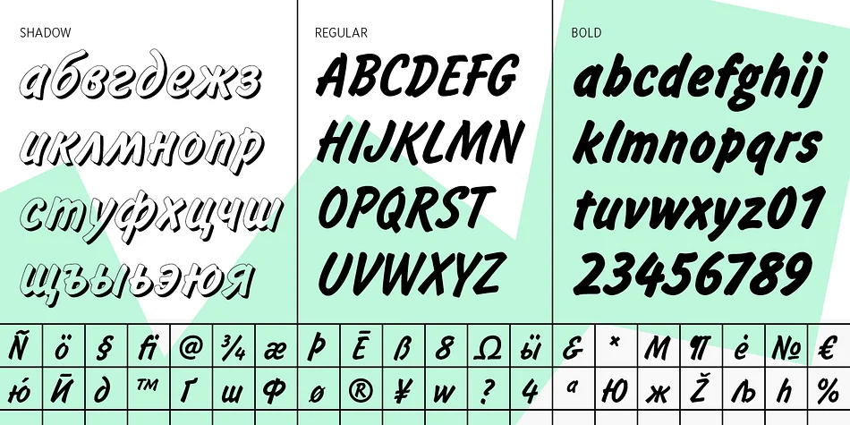 Inform by ParaType — Decorative Font — thumbnail 3