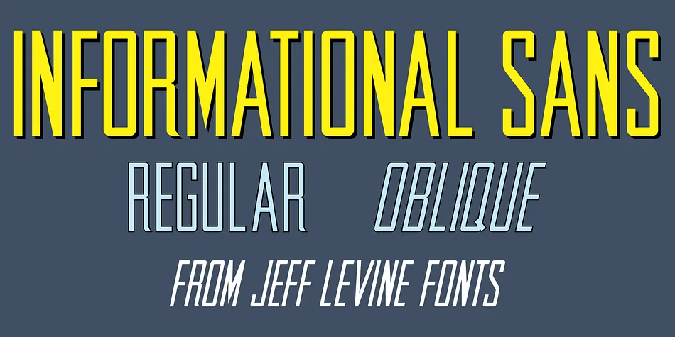 INFORMATIONAL SANS JNL by Jeff Levine Fonts — Display Font