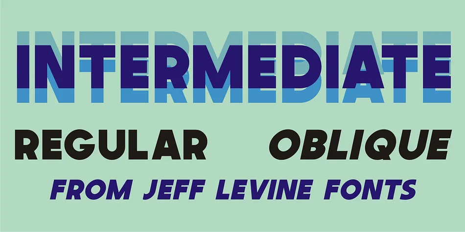INTERMEDIATE JNL by Jeff Levine Fonts — Display Font
