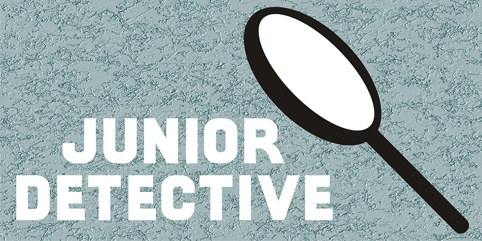 JUNIOR DETECTIVE JNL by Jeff Levine Fonts — Display Font