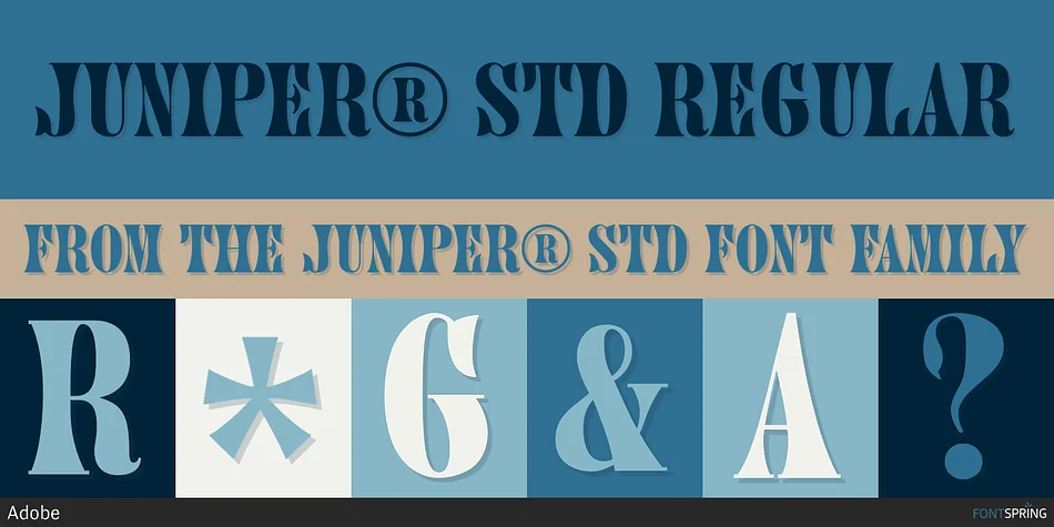 JUNIPER® STD by Adobe — Decorative Font