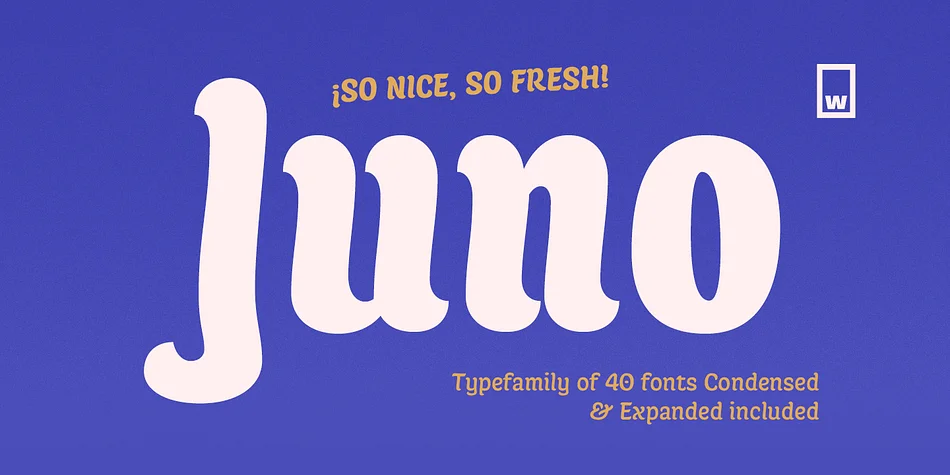 Juno by W Type Foundry — Script Handwritten Font