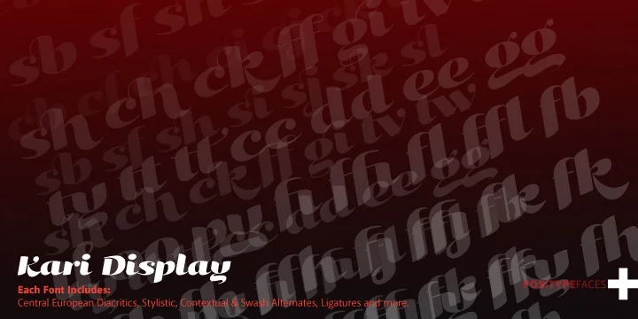 Kari Display Pro by Positype — Script Handwritten Font — thumbnail 2