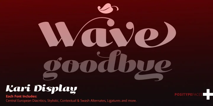 Kari Display Pro by Positype — Script Handwritten Font — thumbnail 3