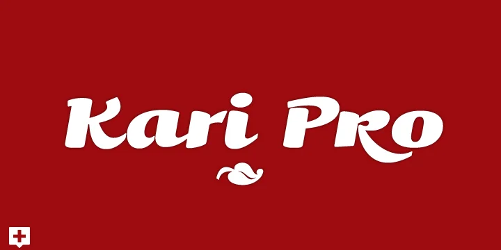 Kari Pro by Positype — Script Handwritten Font
