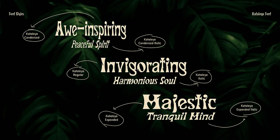 Kataleya by Indotype Foundry — Display Font — thumbnail 3