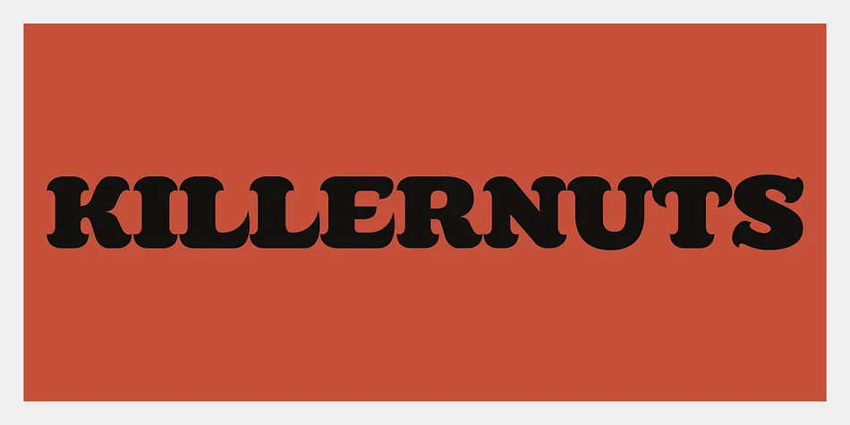Killernuts by Dharma Type — Decorative Font