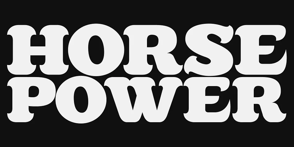 Killernuts by Dharma Type — Decorative Font — thumbnail 8