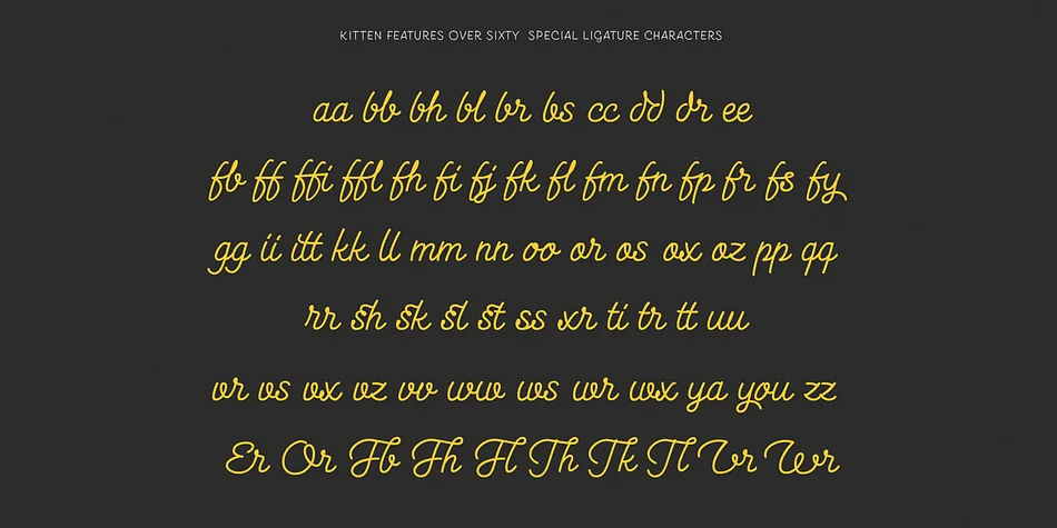 Kitten by Zetafonts — Script Handwritten Font — thumbnail 6