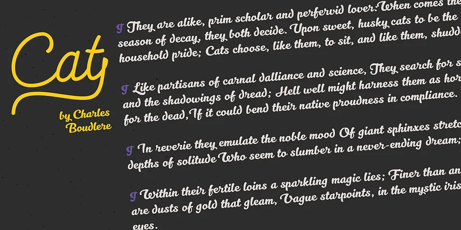 Kitten by Zetafonts — Script Handwritten Font — thumbnail 9