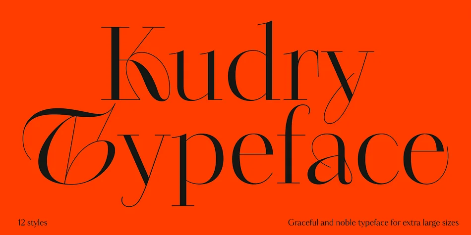 Kudry by ParaType — Display Font