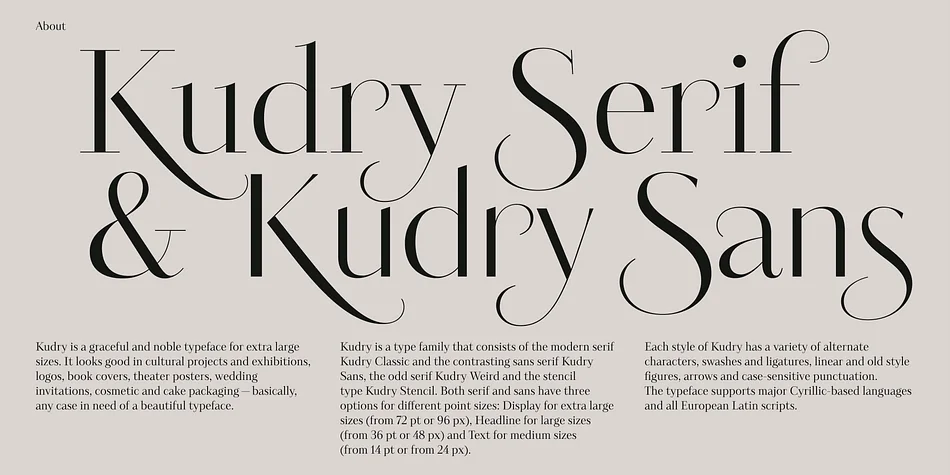Kudry by ParaType — Display Font — thumbnail 2