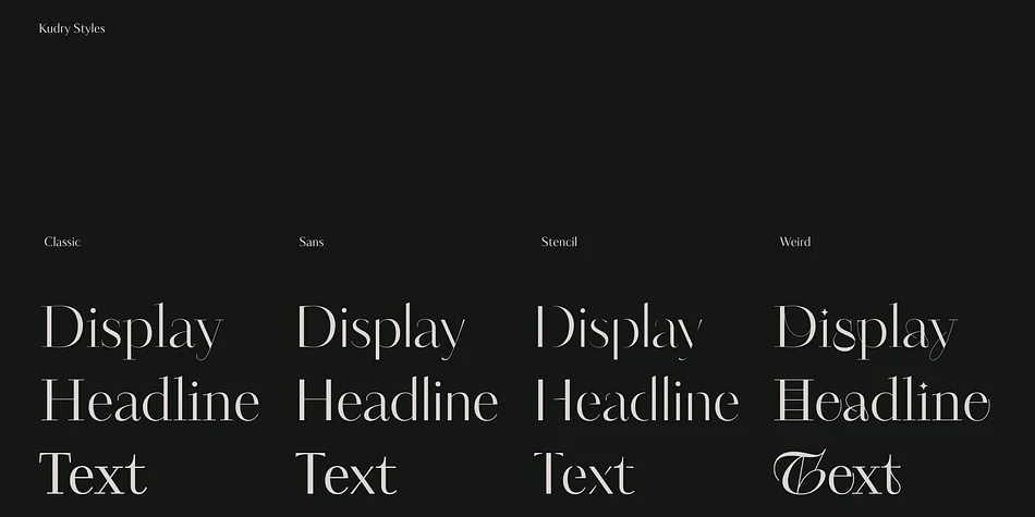 Kudry by ParaType — Display Font — thumbnail 3